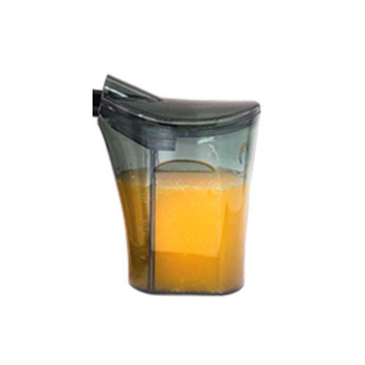 Extractor de jugos - Imagen 2